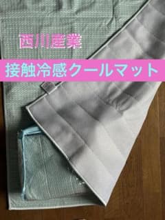 Thảm mát mẻ Nishikawa Sangyo 90×90cm - 5