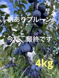 加工におすすめプルーン　4kgのサムネイル