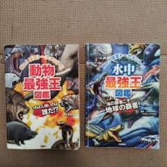 最強王図鑑のサムネイル