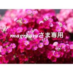 【美品】BODY DRESSING Deluxe 黒 ワンピースのサムネイル