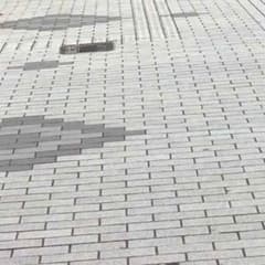 グレウス様専用のサムネイル