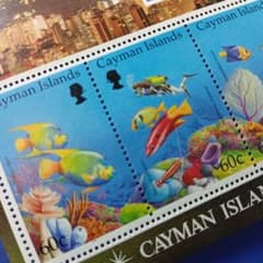 9300 外国切手 ケイマン諸島 1994年 サンゴ礁の魚 小型シート - メルカリ