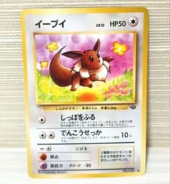 旧裏】イーブイ ○ 第2弾拡張パック ポケモンジャングル ポケモン