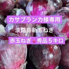 カサブランカ様★淡路島新玉ねぎ★赤玉ねぎ★5キロ★甘い★フレッシュ★彩りにのサムネイル