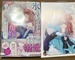 氷の侯爵様とかりそめの花嫁～愛のない王命婚なのに、なぜか溺愛されてます～特典付きのサムネイル