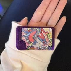 ポケモンフレンダ ボーマンダのサムネイル