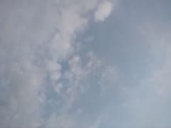 ダイリク　PT 専用のサムネイル