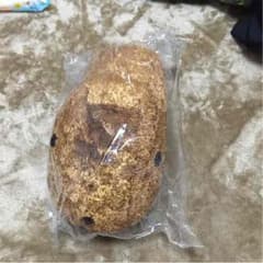 カピバラさんのサムネイル