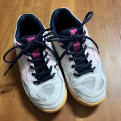 22cm バレーボールシューズ　ミズノのサムネイル
