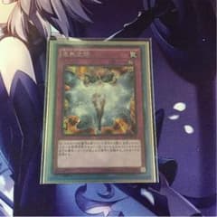遊戯王 虚無空間 シークレットのサムネイル