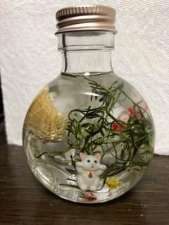 送料無料❣️招き猫置物入りハーバリウム❣️50mlのサムネイル
