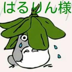 ♥はるりん様専用ページ♥のサムネイル