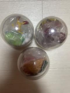 코비토즈칸 카푸리움 컬렉션 3 종 세트