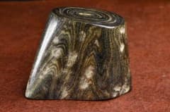 海松　深海松　ブラックコーラル 2025年最新】Yahoo!オークション -海松(科学、自然)の中古品