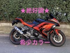 カワサキ★EX250L★ニンジャ★スペシャルエディション★大人気★程度良好★のサムネイル