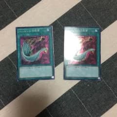 ハーピィの羽根箒のサムネイル