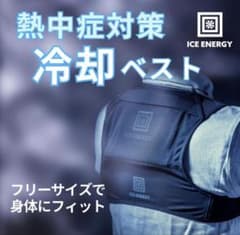 【最終特価】ICE ENERGY アイスエナジー ベスト　保冷剤 2個セットのサムネイル