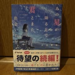 あの星が降る丘で、君とまた出会いたい。のサムネイル