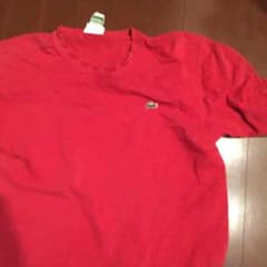 ラコステのtシャツのサムネイル