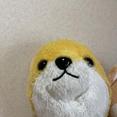 まくらちゃんのサムネイル