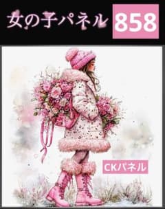 858.女の子パネル生地 6柄セット CKパネル - メルカリ