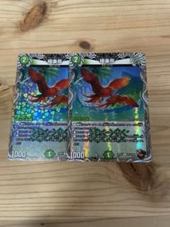 極楽鳥 銅トレジャーのサムネイル