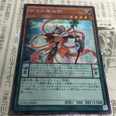 相生の魔術師 シクのサムネイル