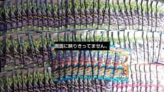 【早い者勝ち】レシート有 未サーチバラ124PポケモンカードゲームMEGAセット