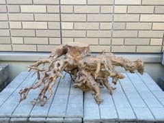 【送料込み】一点モノ★流木　置物　猪　オブジェ　ドリフトウッド　インテリア 送料込み】一点モノ☆流木 置物 猪 オブジェ ドリフトウッド