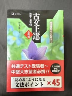 古文上達 仲光雄著 Z-KAIのサムネイル