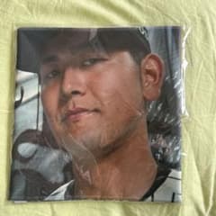 阪神タイガース　シークレットビジョンファブリックスローガン　岡留英貴選手のサムネイル