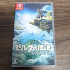 ゼルダの伝説 ティアーズ オブ ザ キングダムのサムネイル