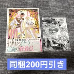 m58105479210_1.jpg?1755264889