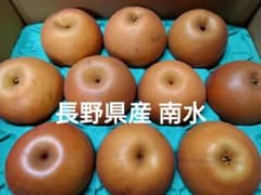 長野県産 南水のサムネイル