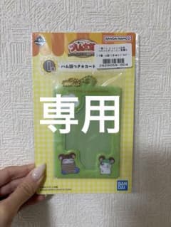 방울씨 전용 트토코 햄 타로 1번 복권 카드 홀더