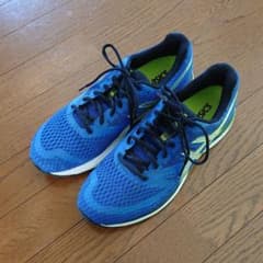 ASICS GEL PULSE 10   28cmのサムネイル