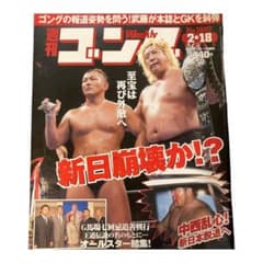 週刊ゴング　NO.1007 2月18日号のサムネイル
