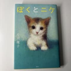 ぼくとニケ 片川優子のサムネイル