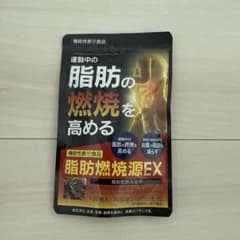 脂肪燃焼源EX 120粒 30日分 2026.9のサムネイル