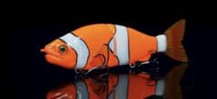 クマノミバイト クマノミバイト - メルカリ