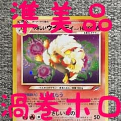 準美品※やさしいウインディ ☆ 拡張パック第4弾 闇、そして光へ 旧裏