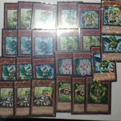 まーさん専用 ガスタ デッキ 遊戯王のサムネイル