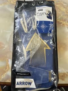 Reusch Arrow Gold X GKグローブ　サイズ10のサムネイル