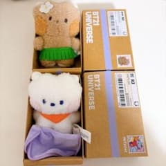 BT21 minini MINI PLUSH RJ