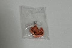 【ポケモン】つれあるき　めじるしチャーム ヒトカゲ【匿名配送】のサムネイル