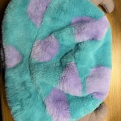 ディズニーリゾート サリーバケハのサムネイル