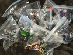 ゴジバースト 10個まとめ売り