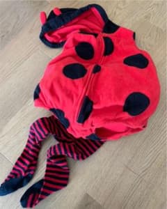 ハロウィン仮装★てんとう虫のサムネイル