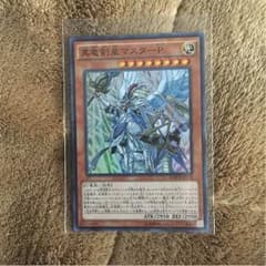真竜剣皇マスターPのサムネイル