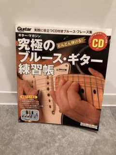 究極のブルース・ギター練習帳 CD付 教則本のサムネイル
